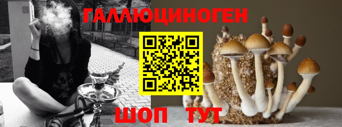 Псилоцибиновые грибы мухоморы  наркотики  Сургут  Галлюциногенные грибы MAGIC MUSHROOMS  Вход с VPN 